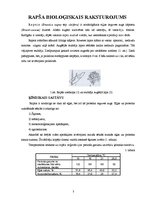 Referāts 'Rapša audzēšanas tehnoloģijas', 3.
