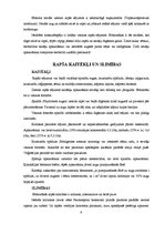 Referāts 'Rapša audzēšanas tehnoloģijas', 9.