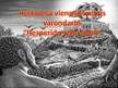 Prezentācija 'Hērakla vienpadsmitais varoņdarbs - "Hesperīdu zelta āboli"', 1.