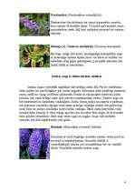 Konspekts 'Telpaugi', 6.