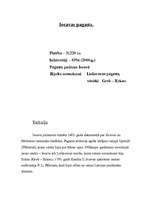 Referāts 'Iecavas upe', 3.