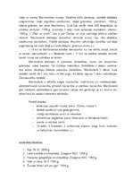 Konspekts 'Mančestera (Manchester) - pilsēta ZR Anglijā', 3.