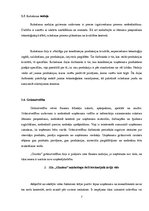 Biznesa plāns 'SIA "Glazūra" mārketinga iekšējās un ārējās vides analīze', 7.