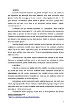 Referāts 'Ģimene un laulības:sievietes statuss', 3.