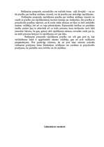 Referāts 'Uzņēmuma apraksts', 11.