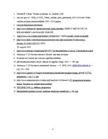 Eseja 'Valodas izvēles sociālā politika un korektums', 8.