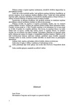 Referāts 'Migrēna', 3.