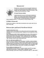 Referāts 'Seksuāli transmisīvās infekcijas', 11.