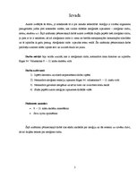 Referāts 'Rinīts un citas alerģiskas izpausmes', 3.