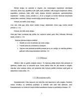 Referāts 'Rinīts un citas alerģiskas izpausmes', 7.