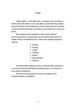 Referāts 'Nozares un produkta analīze', 3.