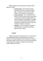 Referāts 'Nozares un produkta analīze', 11.