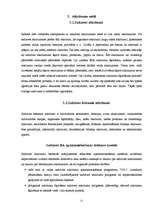 Referāts 'Atkritumu veidi un to apsaimniekošana Latvijā', 21.