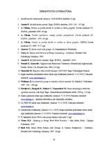 Referāts 'Sociālais darbs atkarību problēmu risināšanā', 20.