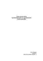 Paraugs 'Sprādzienbīstamība un ugunsbīstamība. Civilā aizsardzība', 1.