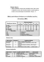 Referāts 'Riska faktoru grupas taksometra vadītāja profesijai', 8.