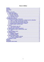 Diplomdarbs 'Darījumi ar atvasinātiem finanšu instrumentiem kā valūtas un cenu risku pārvaldī', 5.