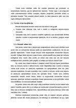 Diplomdarbs 'Darījumi ar atvasinātiem finanšu instrumentiem kā valūtas un cenu risku pārvaldī', 11.