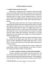 Diplomdarbs 'Darījumi ar atvasinātiem finanšu instrumentiem kā valūtas un cenu risku pārvaldī', 17.