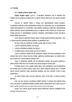 Diplomdarbs 'Darījumi ar atvasinātiem finanšu instrumentiem kā valūtas un cenu risku pārvaldī', 23.