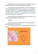 Referāts 'Jauna hosteļa izveidošana Rīgā', 10.