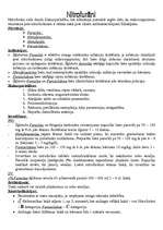 Konspekts 'Nitrofurāni', 1.