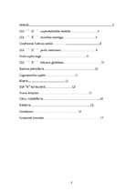 Referāts 'Mazlietotu automašīnu tirgus izpēte', 2.