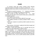 Referāts 'Mazlietotu automašīnu tirgus izpēte', 3.