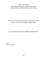 Referāts 'Izglītības iestādes vadītāja pozīcija pedagogu darba kopīgai organizācijas mērķu', 1.