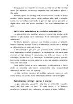 Referāts 'Radioreklāma', 3.