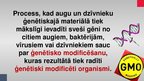 Prezentācija 'Ģenētiski modificēti organismi', 2.