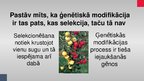 Prezentācija 'Ģenētiski modificēti organismi', 15.