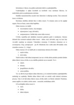 Diplomdarbs 'Energoresursu bilance Latvijā 2004. - 2007.gadā', 25.