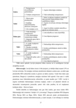 Diplomdarbs 'Energoresursu bilance Latvijā 2004. - 2007.gadā', 27.