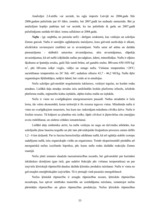 Diplomdarbs 'Energoresursu bilance Latvijā 2004. - 2007.gadā', 33.