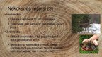 Prezentācija 'Meža resursi Lietuvā', 10.