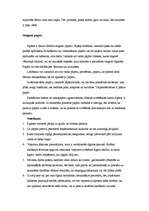 Konspekts 'Origami', 3.