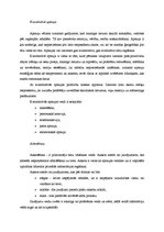 Konspekts 'Kvantitatīvās aptaujas veidi: anketēšana, personiskā intervija, telefonintervija', 1.