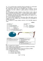 Referāts 'Darba aizsardības instrukcija. Individuālo aizsardzības līdzekļu izvēle, lietoša', 13.