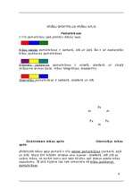 Referāts 'Krāsu mācība', 4.