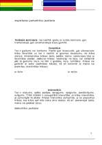 Referāts 'Krāsu mācība', 7.