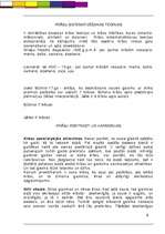 Referāts 'Krāsu mācība', 8.