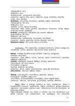 Referāts 'Krāsu mācība', 11.