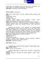 Referāts 'Krāsu mācība', 12.