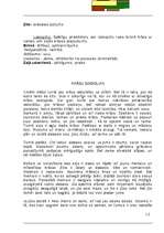 Referāts 'Krāsu mācība', 13.