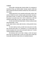 Paraugs 'Dinamometrija', 4.