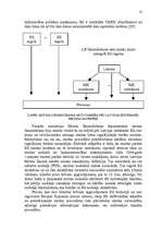 Diplomdarbs 'Rīgas ostas muitas uzraudzība', 10.