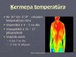 Prezentācija 'Termometri un temperatūra', 17.