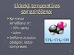 Prezentācija 'Termometri un temperatūra', 20.