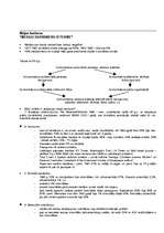 Referāts 'Masu komunikāciju teorijas', 13.